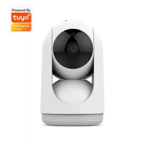   RSH WC060 - WLAN-Smart-IP-Dome-Sicherheitskamera für den Innenbereich: Nachtsicht, Bewegungserkennung, Zwei-Wege-Audio, CMOS-Bildsensor